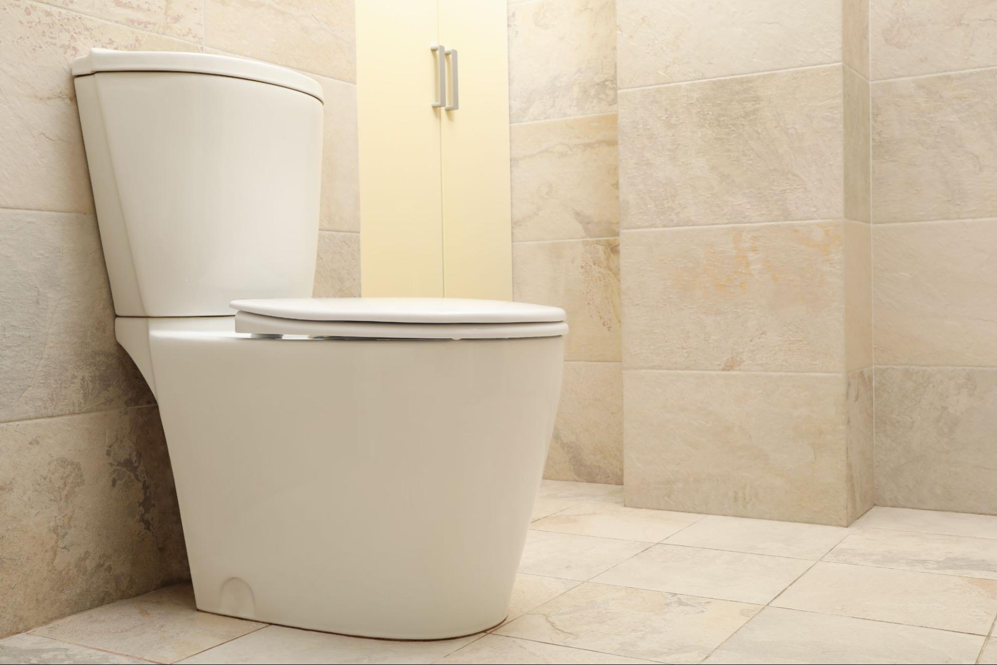 How to Diagnose and Fix Common Toilet Repair Issues