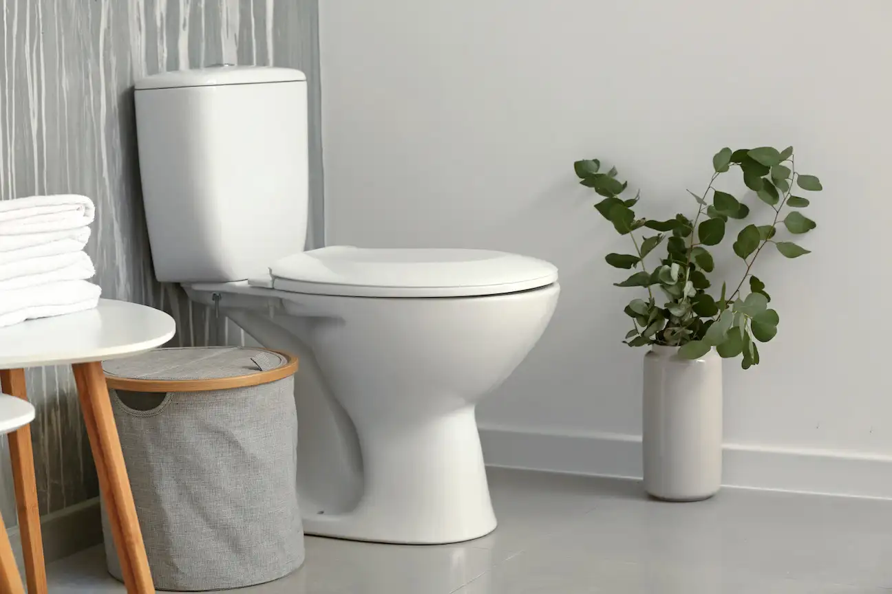 Atlanta Bathroom Toilet Replacement Handyman Bathroom Toilet Installation Handyman Service in Atlanta