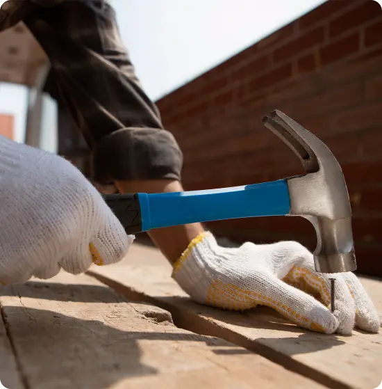 Carpenter Ant Damage Repair