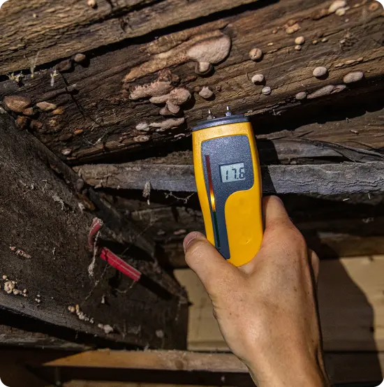 Termite Prevention Systems